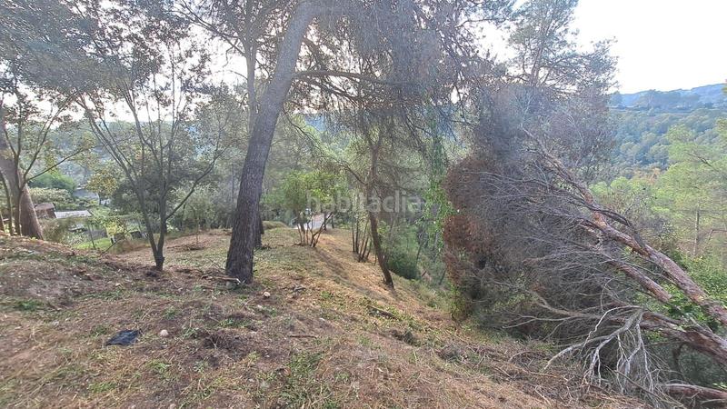 Foto 0d6479fa-7f5b-460e-bfba-cb9040e6ddbb. Terrain résidentiel dans Can Rial Esparreguera