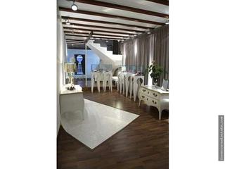 Business premise in Centro