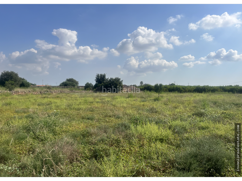 Foto 73728da3-a011-4e93-a48b-38303951c42f. Country house in Madrigal Villarreal / Vila - real