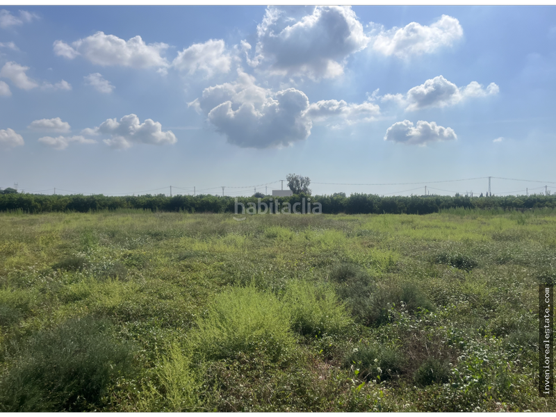 Foto b6377735-019c-492d-b9a1-b1990667e761. Country house in Madrigal Villarreal / Vila - real