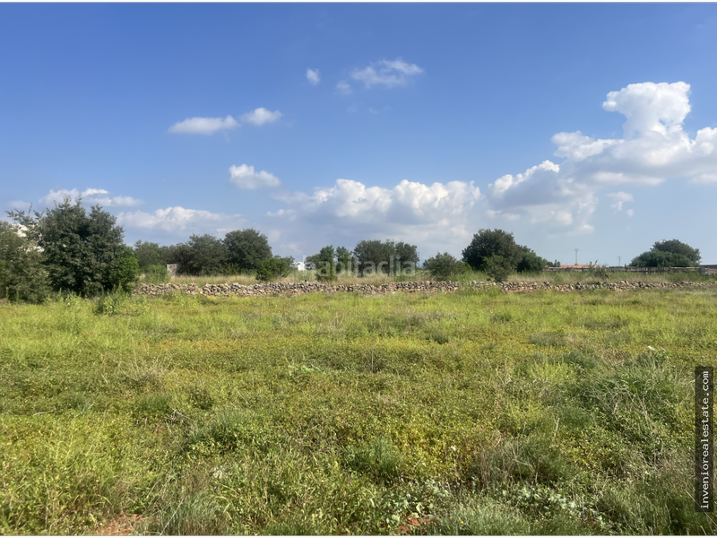 Foto fffe5f36-d542-4be9-aaf7-4cc25839a436. Country house in Madrigal Villarreal / Vila - real