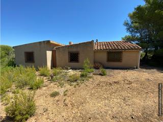 Terreny residencial a Benlloch. Huerto en venta con caseta