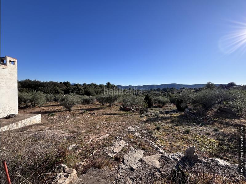 Foto e3bd6dbb-e164-4b80-93a4-845a83d29b75. Terreno residencial finca rústica en venta con caseta en Atzeneta del Maestrat
