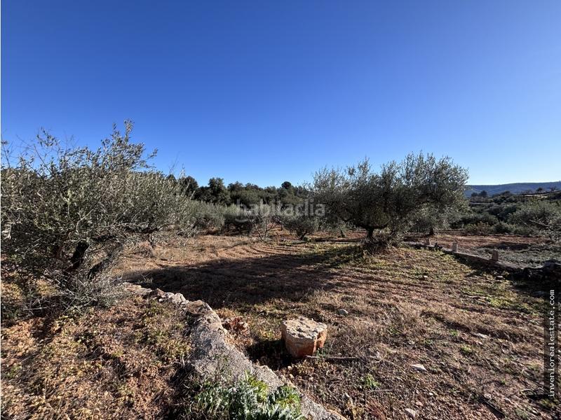 Foto fa18543b-0640-499e-a36e-ff15781e5161. Terreno residencial finca rústica en venta con caseta en Atzeneta del Maestrat