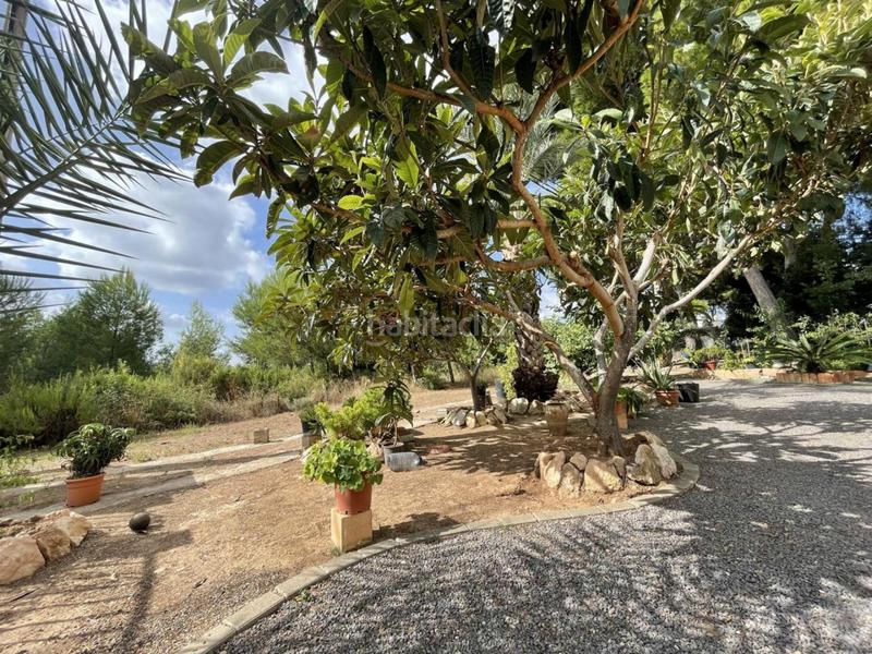 Foto a7a8081f-f4a9-4f86-9035-88f1f7ccbcbc. House with heating parking pool in Doctor Palos - Alto Palancia Sagunt