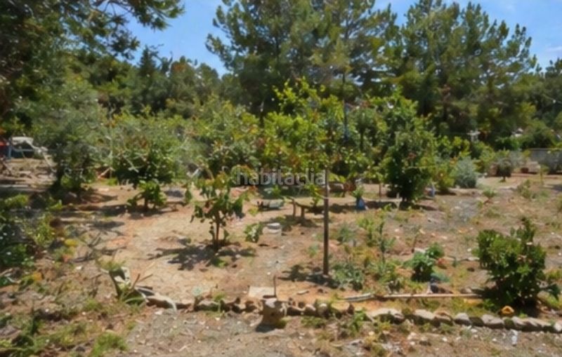Foto daf2b022-d817-4a4b-bbcc-efb4a7674428. Casa a Doctor Palos - Alto Palancia Sagunt