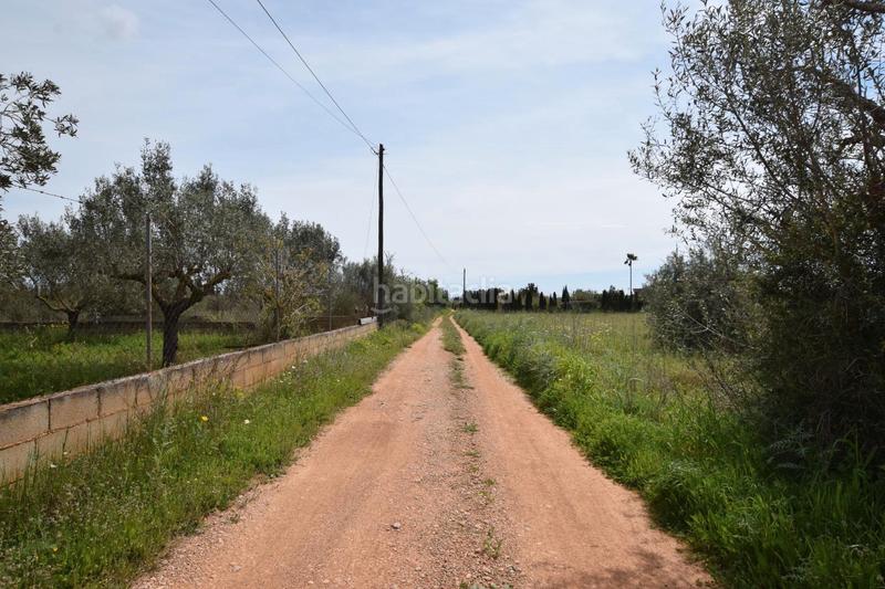 Foto 5115ee15-d531-48d5-90d9-085c514b7f6c. Mas avec cheminée chauffage dans Santa Eugènia