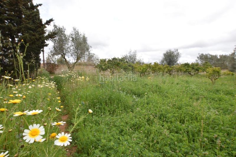 Foto 5bce5970-f209-4d27-837a-c147adf98d77. Mas avec cheminée chauffage dans Santa Eugènia