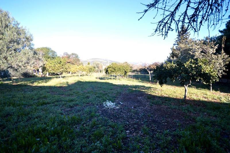 Foto 0cbe8aa9-39a2-4810-b2dc-fbcd34e5cec2. Bauernhof mit kamin heizung in Lloseta