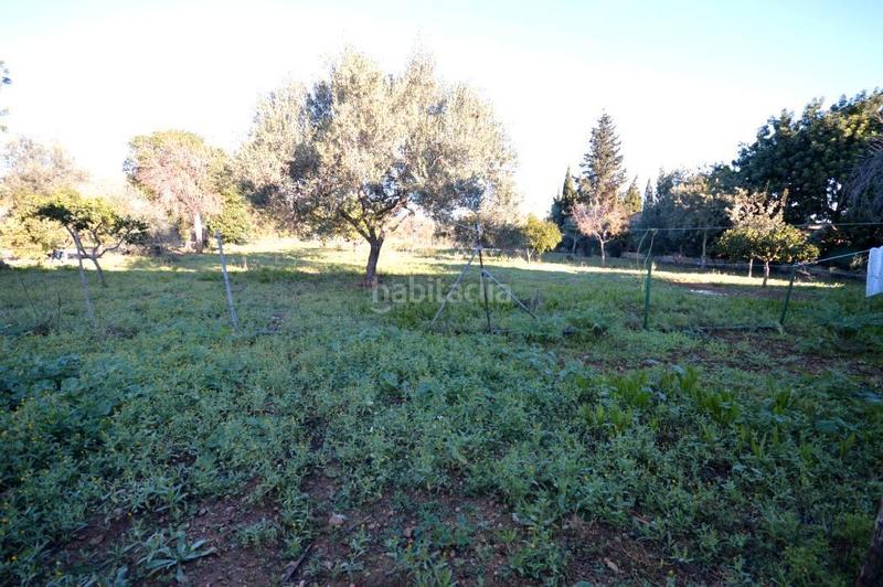 Foto adcf5c22-a625-459d-8a51-5e26ae7621d5. Bauernhof mit kamin heizung in Lloseta