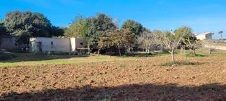 Finca rústica en Manacor Centre. ??terreno de 17.600 m² en manacor ¡construye la casa de tus sueñ