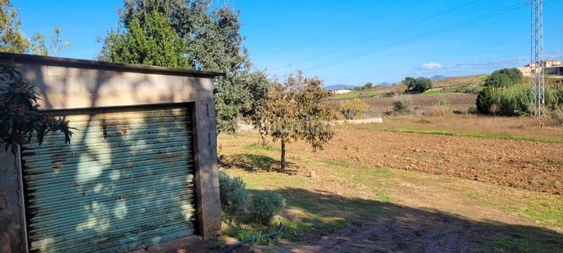 Foto 335b2d1f-e433-4647-8a0e-a2953a428cc7. Finca rústica a Manacor centre Manacor