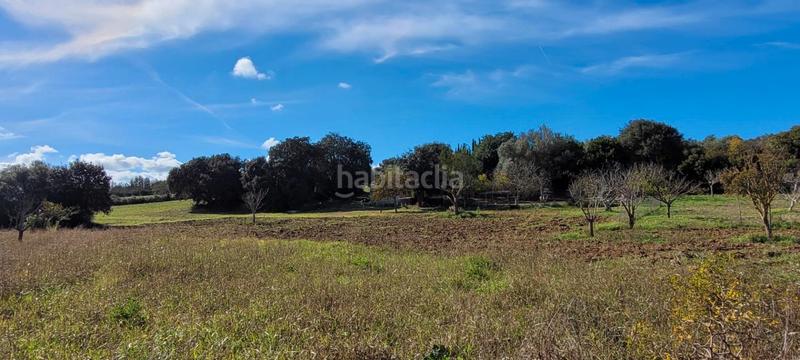 Foto 3ea34cc0-0ede-451b-b17d-da49b3ac9af6. Finca rústica a Manacor centre Manacor