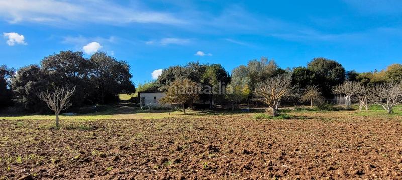 Foto 626655bd-cdca-4e1a-81f7-18c5b81f6949. Finca rústica a Manacor centre Manacor