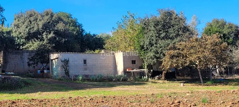 Foto 63719c98-9753-40d2-8b27-ac6ea6fefa4c. Finca rústica a Manacor centre Manacor