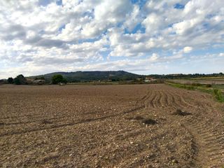 Finca rústica a Petra