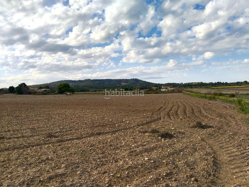 Foto 1b7f09b9-1a38-4691-be07-b3384cff0e38. Finca rústica a Petra