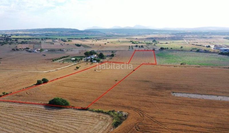 Foto 51e236a4-d5e8-421b-b3c5-58094d559278. Finca rústica a Petra