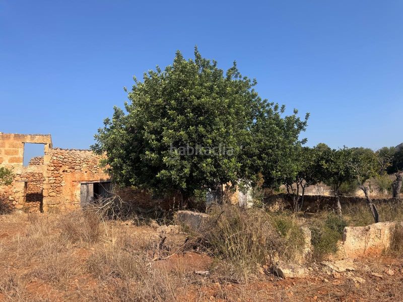 Foto 51b9ba8c-f2e7-43c2-b82b-5c103583d648. FInca rústica a Zona Periurbana Inca