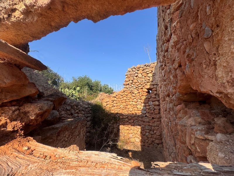 Foto cb1ca2e1-d378-4a6a-be59-2cbdb8e57587. FInca rústica a Zona Periurbana Inca