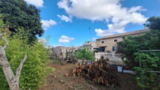 Terreny residencial a Llubí. Oportunidad de terreno edificable en llubí