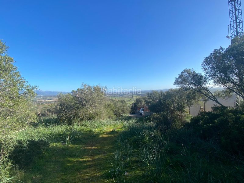 Foto a13263f5-a4fb-43ec-87bc-2c2bd5511b8e. Finca rústica a Santa Eugènia