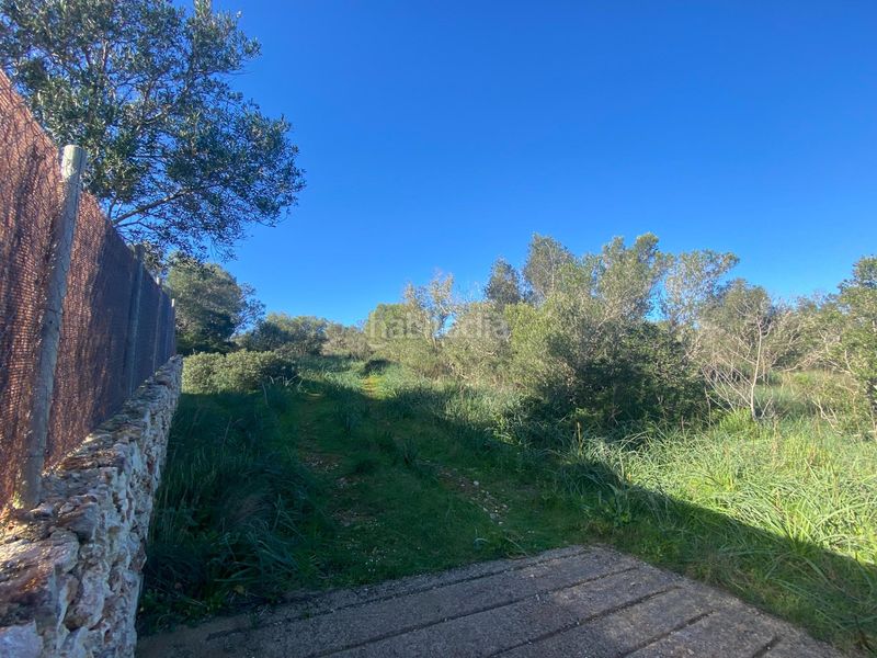 Foto a6520200-ac7e-4efe-ac00-d02f791e2fb6. Finca rústica a Santa Eugènia