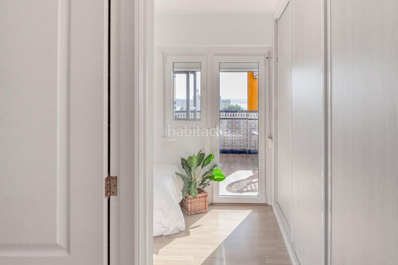 Foto ab184e09-48f0-44e6-a6ad-41ea78b1b820. Àtic a Peguera Calvià