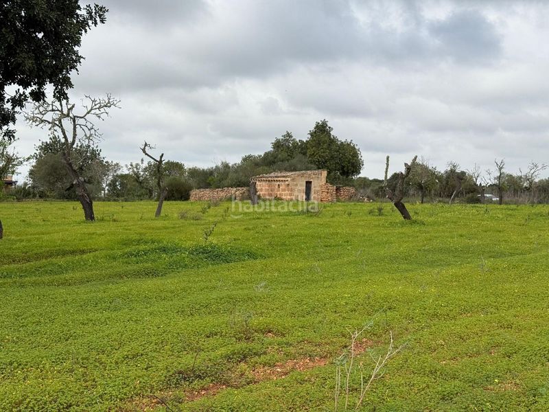 Foto 5949e289-e647-4098-83e8-d97a80c60327. Finca rústica terreno rústico de 38.493 m² edificables en Llucmajor