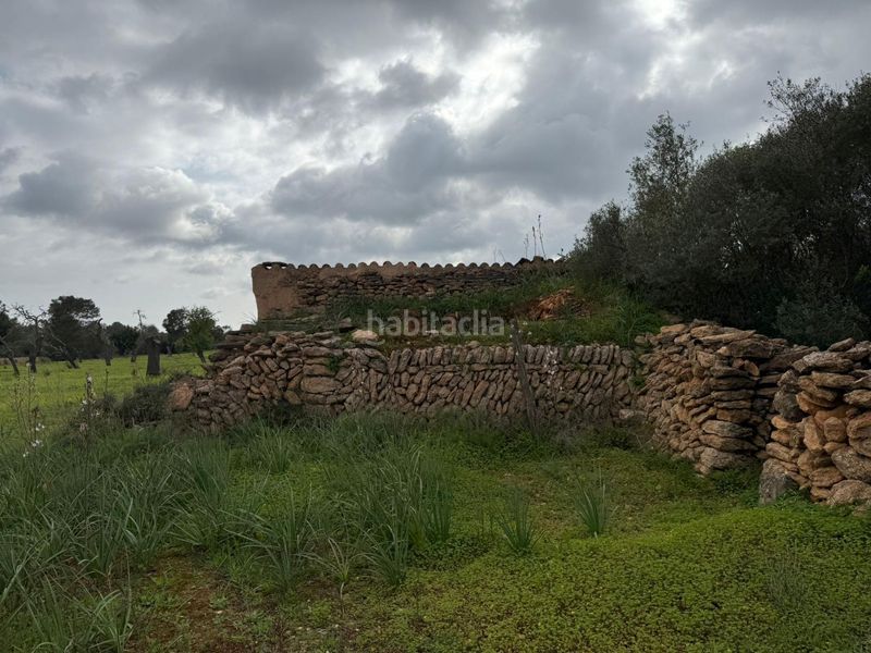 Foto 92257b86-e266-465e-977e-8081656c0964. Finca rústica terreno rústico de 38.493 m² edificables en Llucmajor