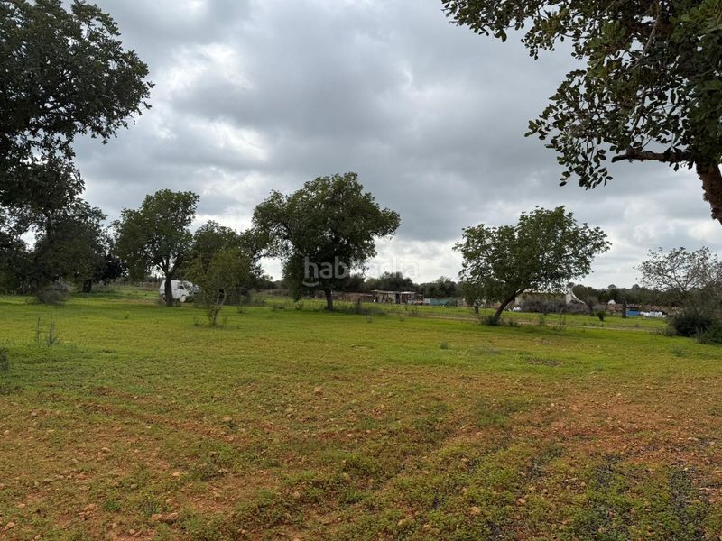 Foto b35f8c53-2f38-44d4-a606-3b030ffa507a. Finca rústica terreno rústico de 38.493 m² edificables en Llucmajor
