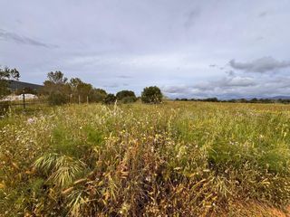 Area edificabile industriale in Santa Eugènia. ¡oportunidad única de terreno en un entorno natural inigualable!