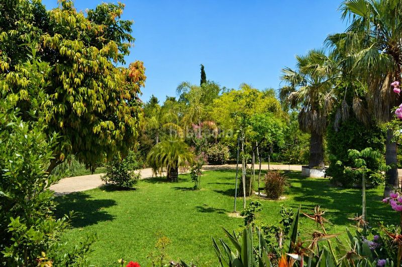 Foto d6920888-11ce-44dd-8677-e862dd2e797c. Casa amb xemeneia calefacció aparcament a Binissalem