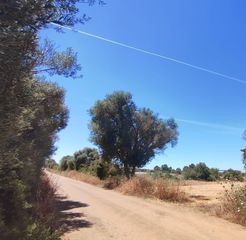 Propriété à Sencelles