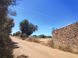 Finca rústica a Sencelles