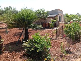 Casa in Porreres