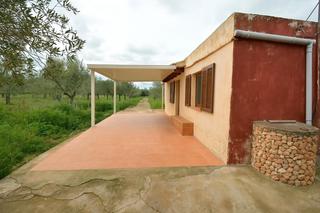 Masia a Santa Eugnia. La casa de los olivos en sta eugenia