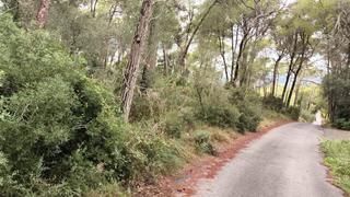 Finca rústica en S´Illot-Cala Morlanda. Fantástico terreno cerca de felanitx.