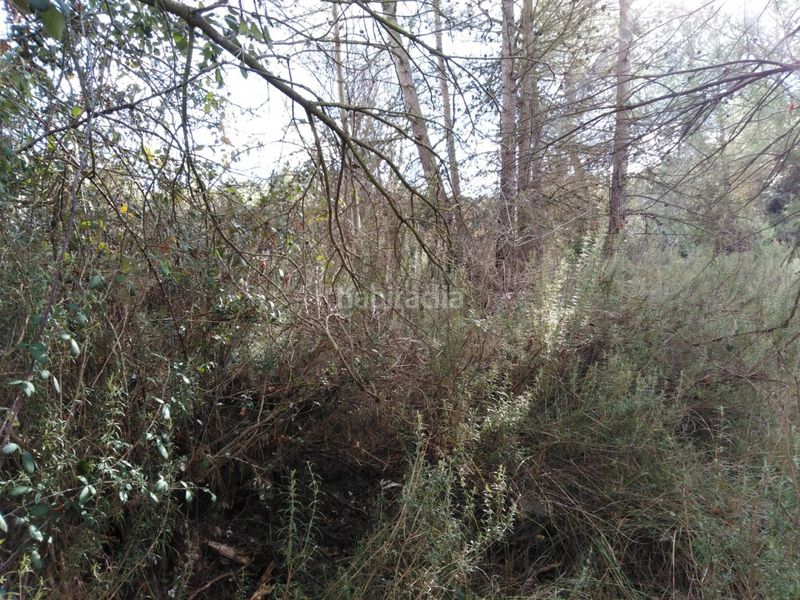 Foto ed22a016-70fd-4aa6-bc98-636a6f4bd11c. Wohngrundstück in Pont de Vilomara i Rocafort (El)