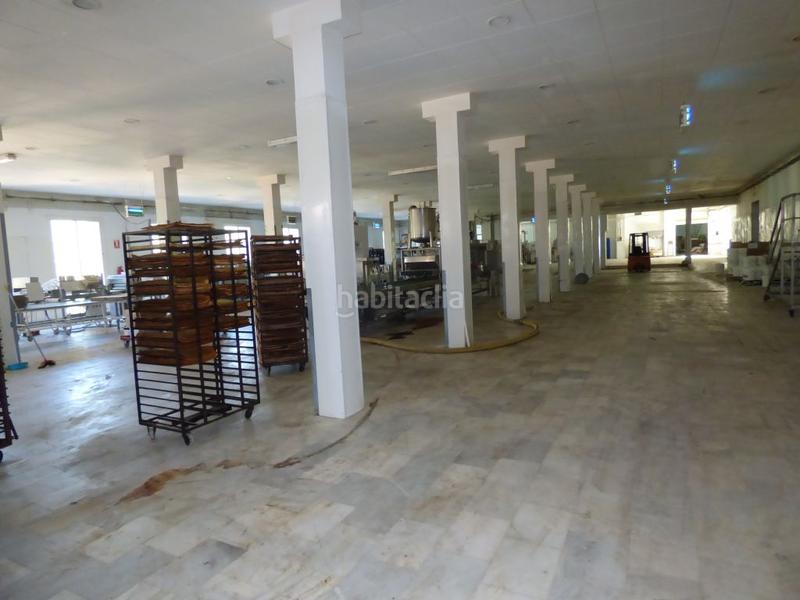 Foto 80fa5663-76c2-445b-831b-20b4ebe81fe5. Fabrikhalle in Navàs