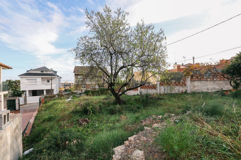 Foto a95319fe-3a72-48c1-b65d-c4550f1a8cef. Finca rústica a Torrent Ballester Viladecans