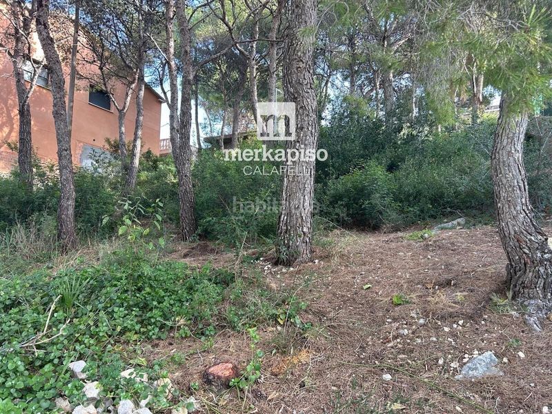 Foto 09185d40-ccfb-4445-a3e5-dbd577c4fa2a. Finca rústica a Segur de Calafell nucli urbà Segur de Calafell