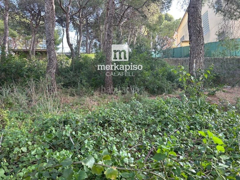 Foto 2d9ae29e-085b-46fd-aee8-b3dec8330639. Finca rústica a Segur de Calafell nucli urbà Segur de Calafell