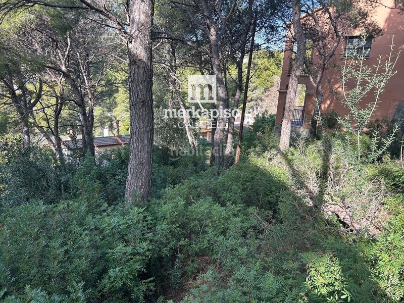 Foto 401dd1b7-c8f0-4b5c-969d-bbba009dc8f0. Finca rústica a Segur de Calafell nucli urbà Segur de Calafell