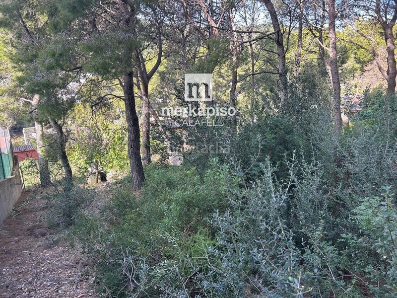Foto 7acddbbe-b3ad-4d0b-9b35-1ea699d7c3a8. Finca rústica a Segur de Calafell nucli urbà Segur de Calafell