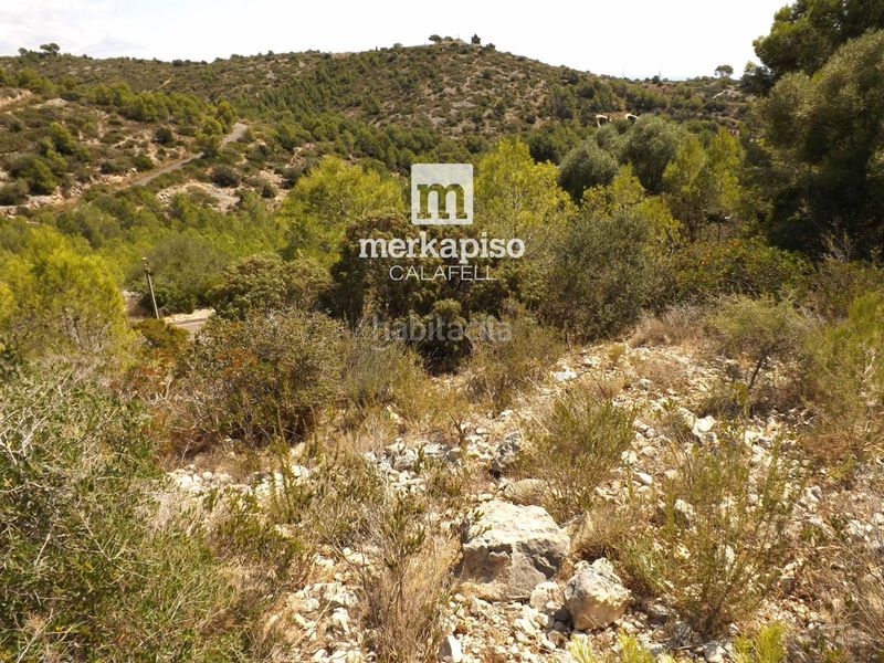 Foto 0fc15b87-17df-4f63-96a9-6a3abdf9f805. Finca rústica exclusiva parcela de 613 m para amantes del relax en Segur de Calafell