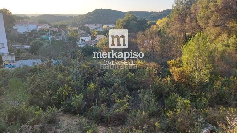 Foto cf7ccc90-245c-4f5f-948e-04778fc8ab8c. Finca rústica a Calafell poble Calafell