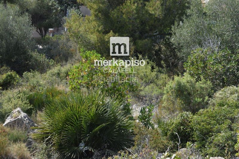 Foto a24c2ae1-62cd-4d6e-95ab-be41eb319872. Finca rústica solar urbanizable en Segur de dalt Segur de Calafell