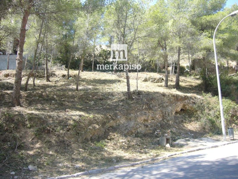 Foto 0359079e-911d-466e-9db6-3cdbbd37a85d. Finca rústica a costa Cunit - els jardins - els rosers Cunit
