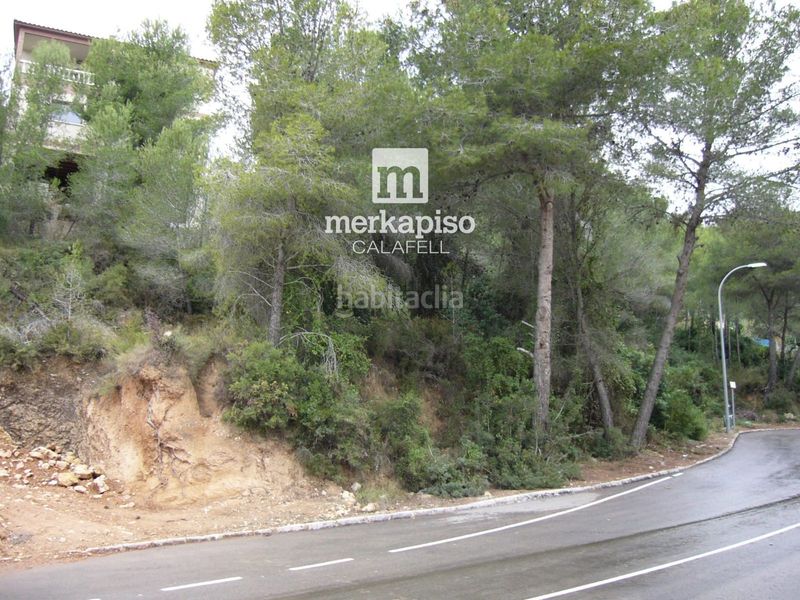 Foto e6ed55a9-b3bb-446d-a757-45a714067df7. Finca rústica a costa Cunit - els jardins - els rosers Cunit